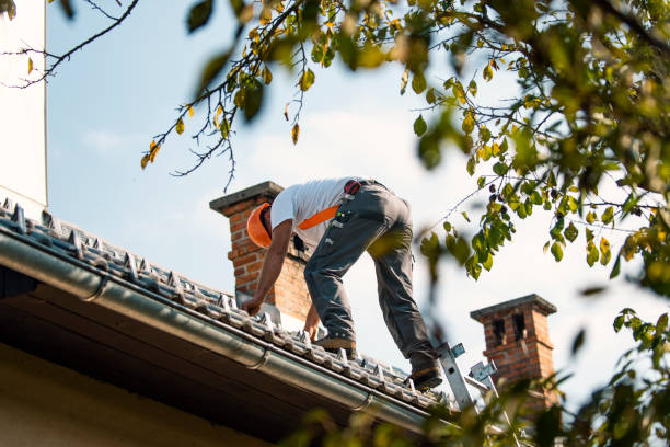 Best Best Roofing Contractors  in Macom, IL