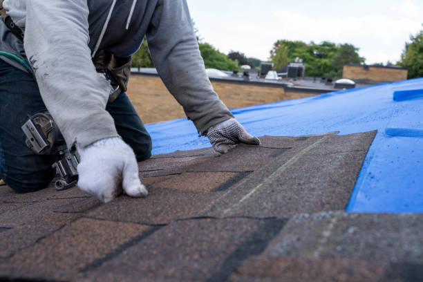 Best Roof Replacement Cost  in Macom, IL